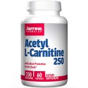 Acetyl L-Carnitine 250